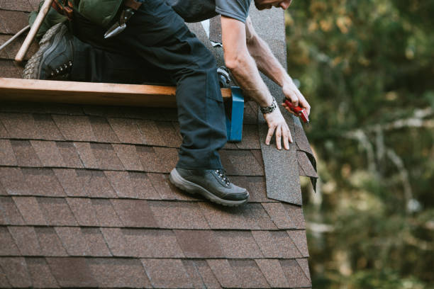 Best Roof Gutter Cleaning  in Polkton, NC
